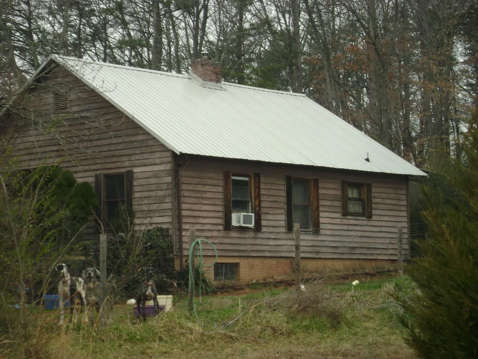 White metal roof on an old wood sided farmhouse, from a Asphalt Shingle Roof Repair job in Applegate